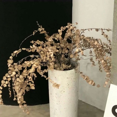 Furry兽圈美学分享福瑞群